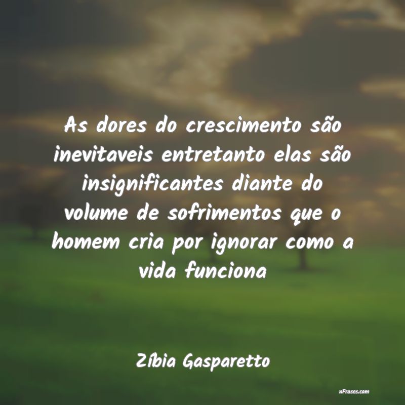 Frases de Zíbia Gasparetto