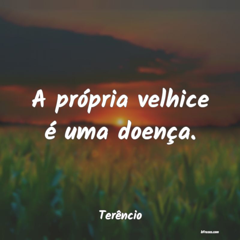 Frases de Terêncio