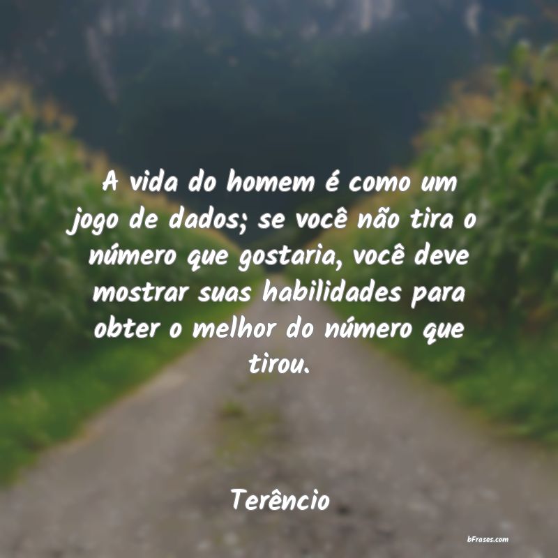 Frases de Terêncio